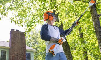 CroppedImage350210-Stihl-BatteryPolePruners-22.jpg